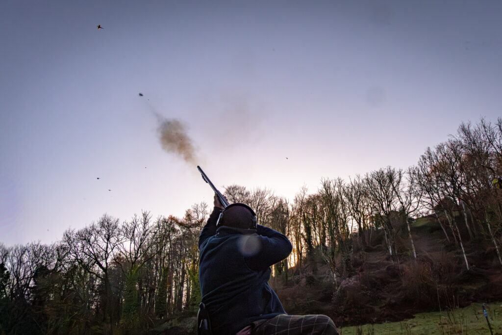 Shooter taking aim during an extreme pheasant shooting day