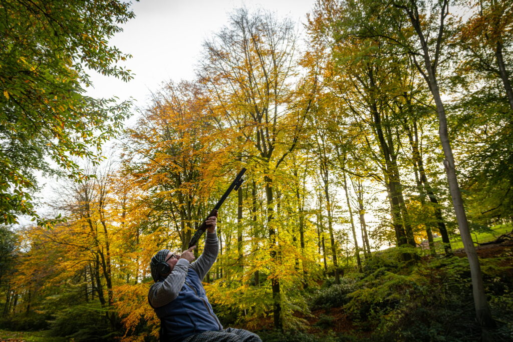 Shooter taking aim during a game shooting day in autumn woodland