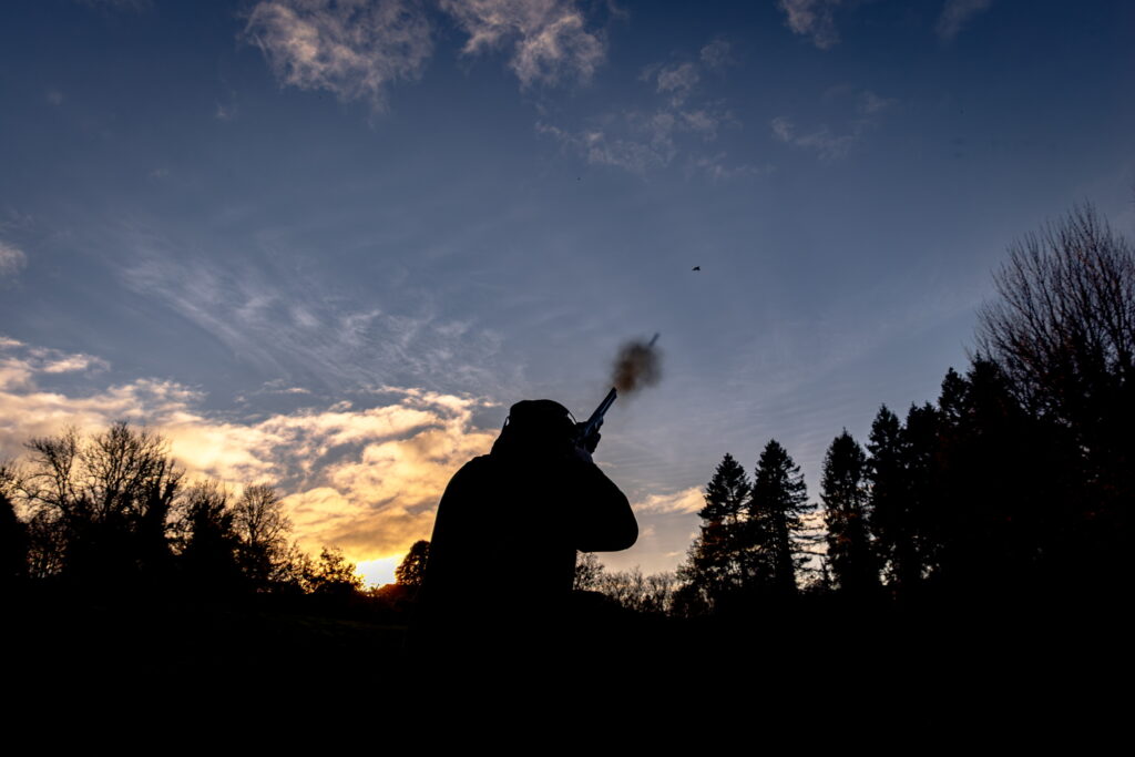 Game shooting at sunset in the British countryside
