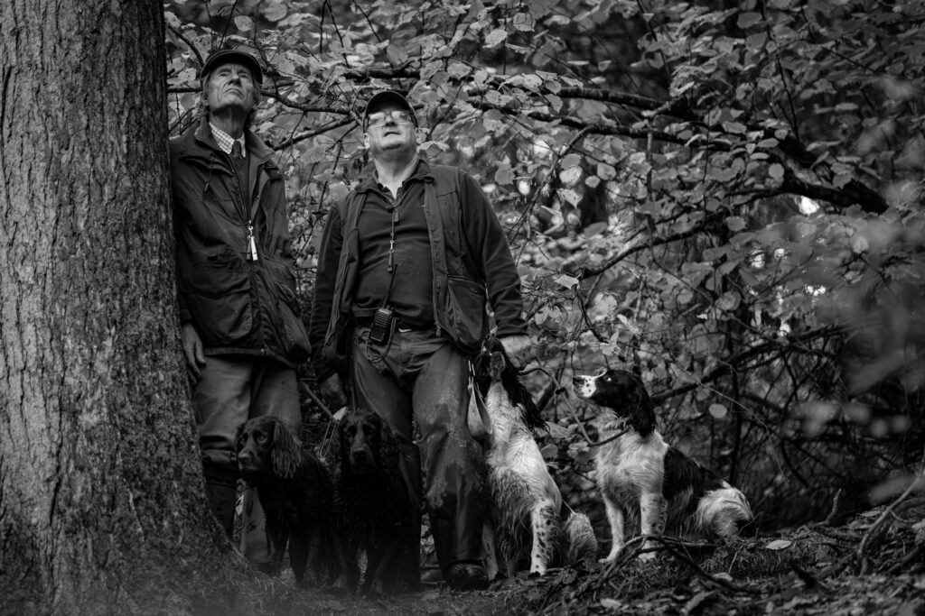 Loyal spaniels ready to pick up