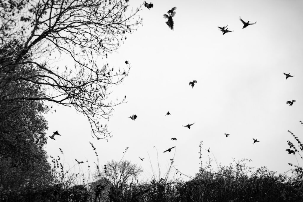 ...and the sky turned black!